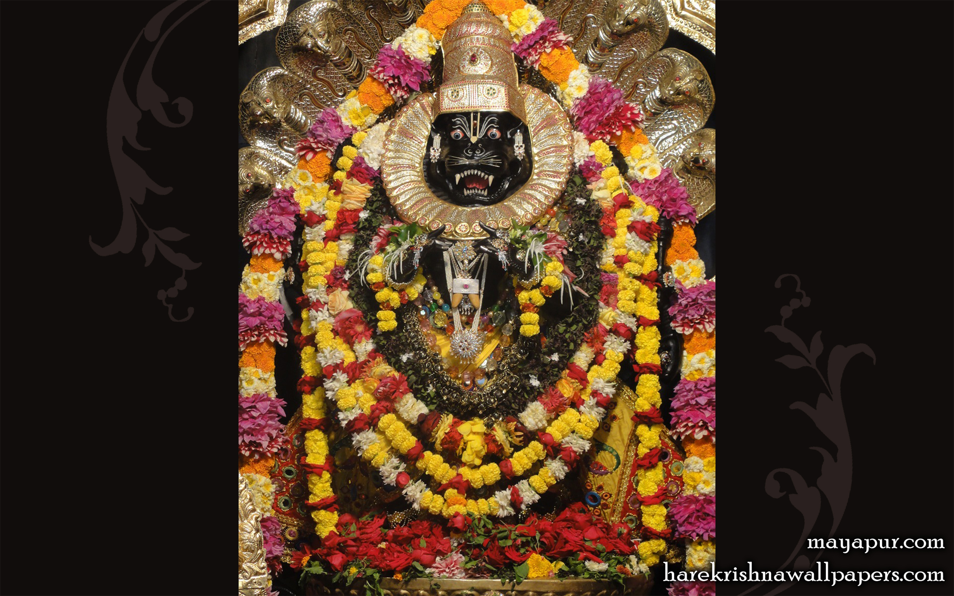 Sri Narasimha Deva Wallpaper (003) Size 1920x1200 Download