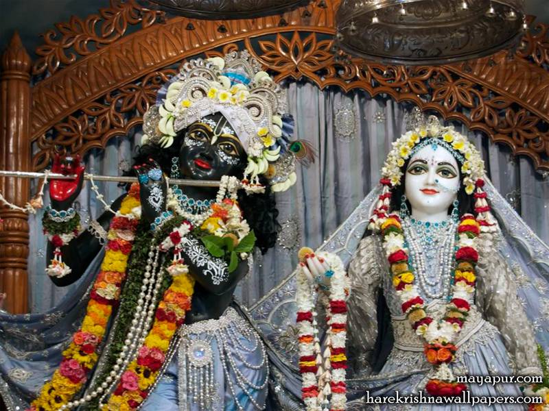 Sri Radha Madhava Close up Wallpaper in silver and blue | Hare Krishna
