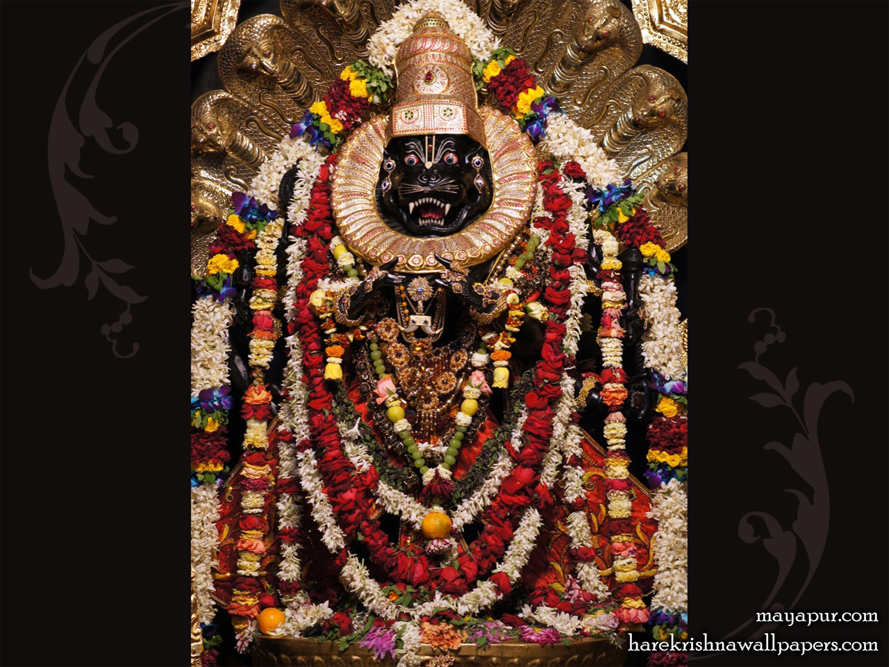Sri Narasimha Deva Wallpaper (004) Size 1280x960 Download