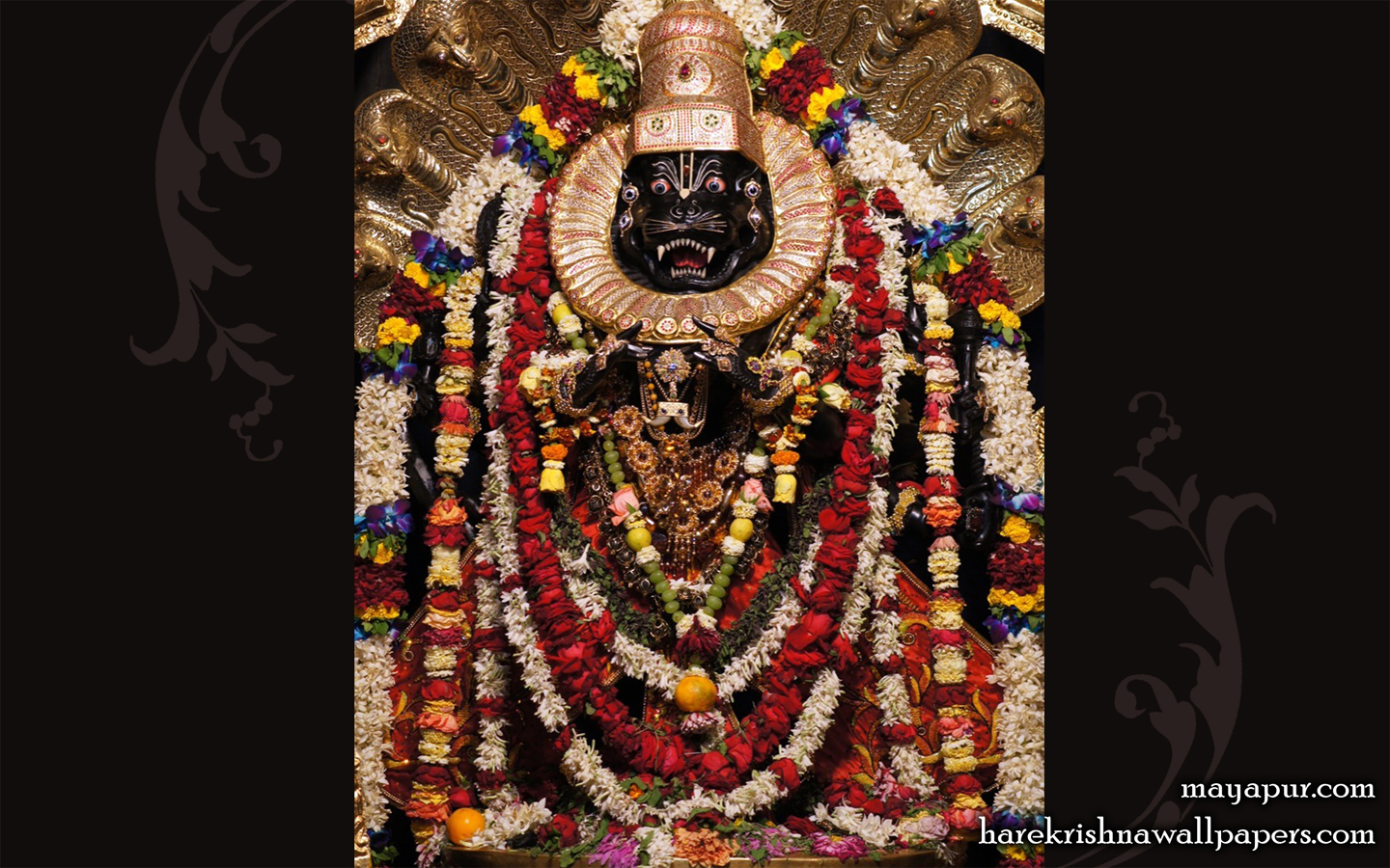 Sri Narasimha Deva Wallpaper (004) Size 1440x900 Download