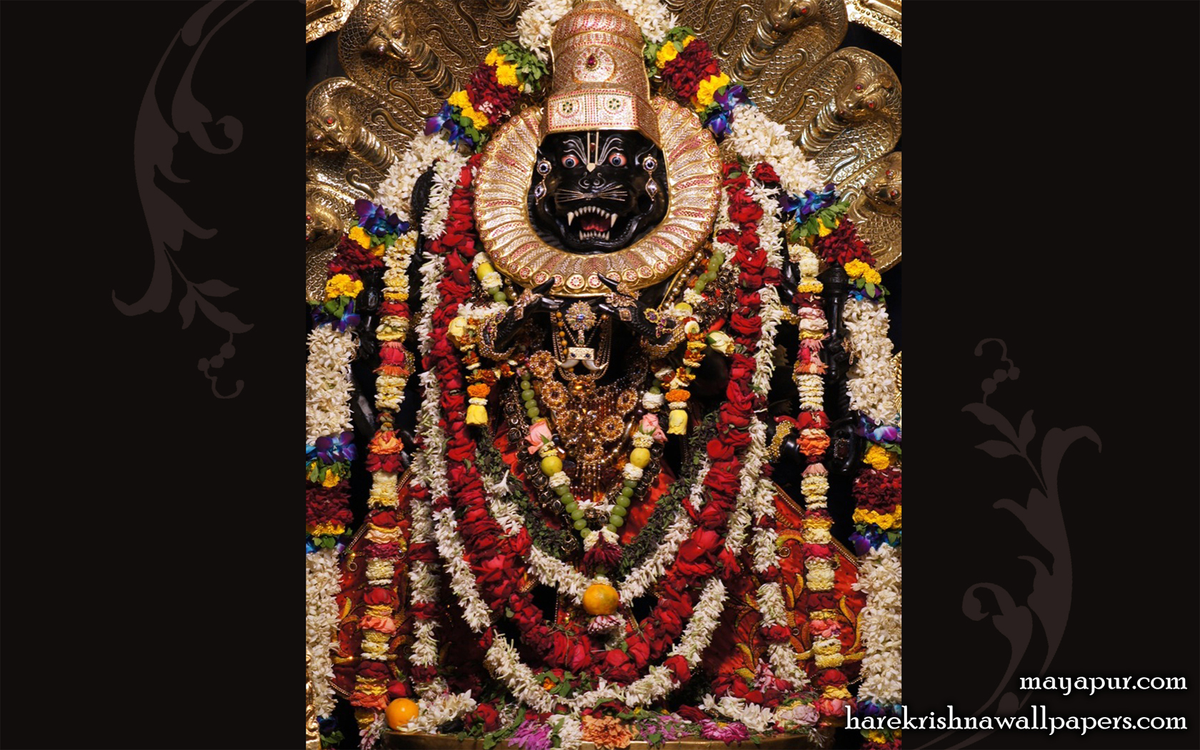 Sri Narasimha Deva Wallpaper (004) Size 1680x1050 Download