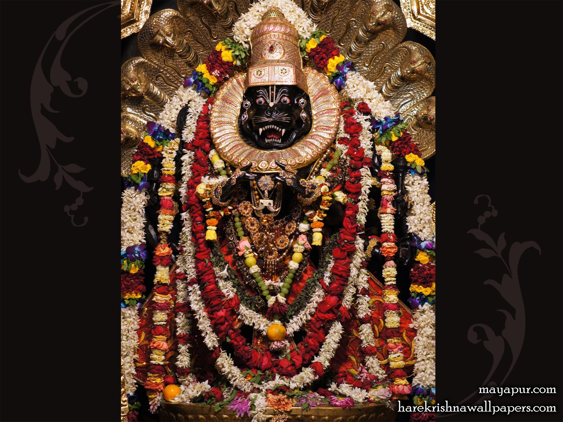 Sri Narasimha Deva Wallpaper (004) Size 1920x1440 Download