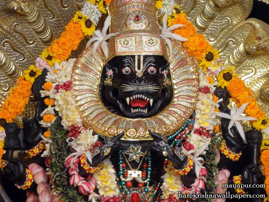 Sri Narasimha Deva Close up Wallpaper (005) Size 1024x768 Download