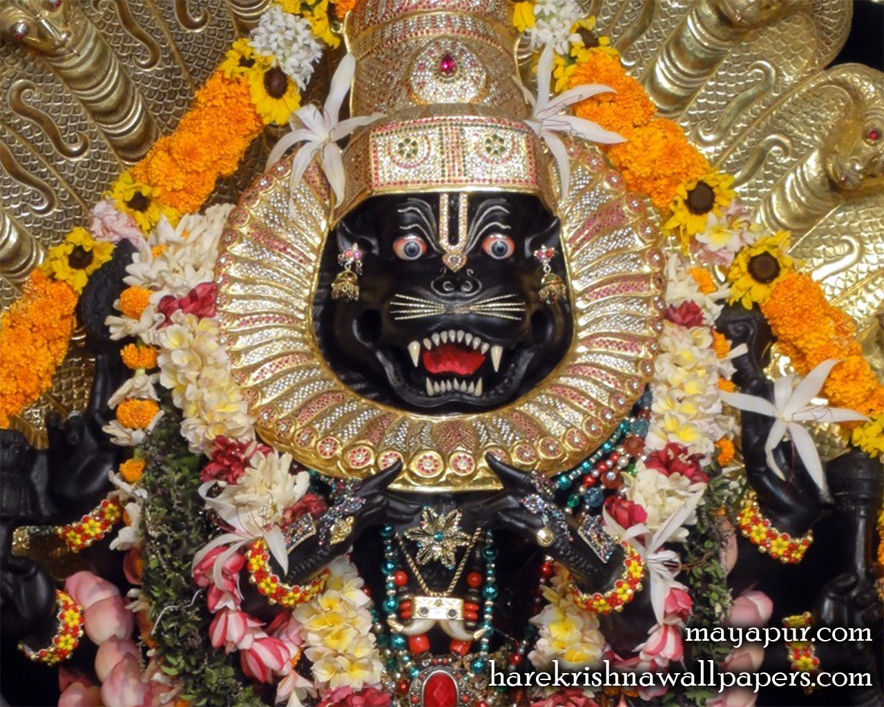 Sri Narasimha Deva Close up Wallpaper (005) Size 1280x1024 Download