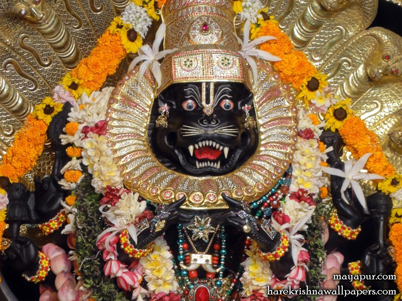 Sri Narasimha Deva Close up Wallpaper (005) Size 1280x960 Download