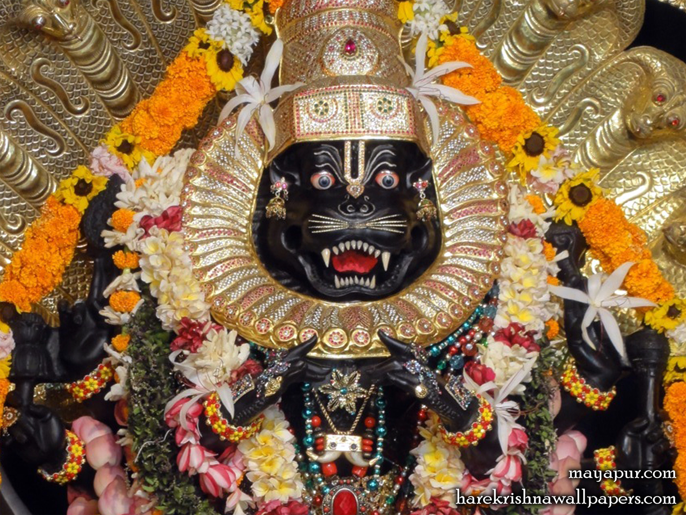 Sri Narasimha Deva Close up Wallpaper (005) Size 1400x1050 Download