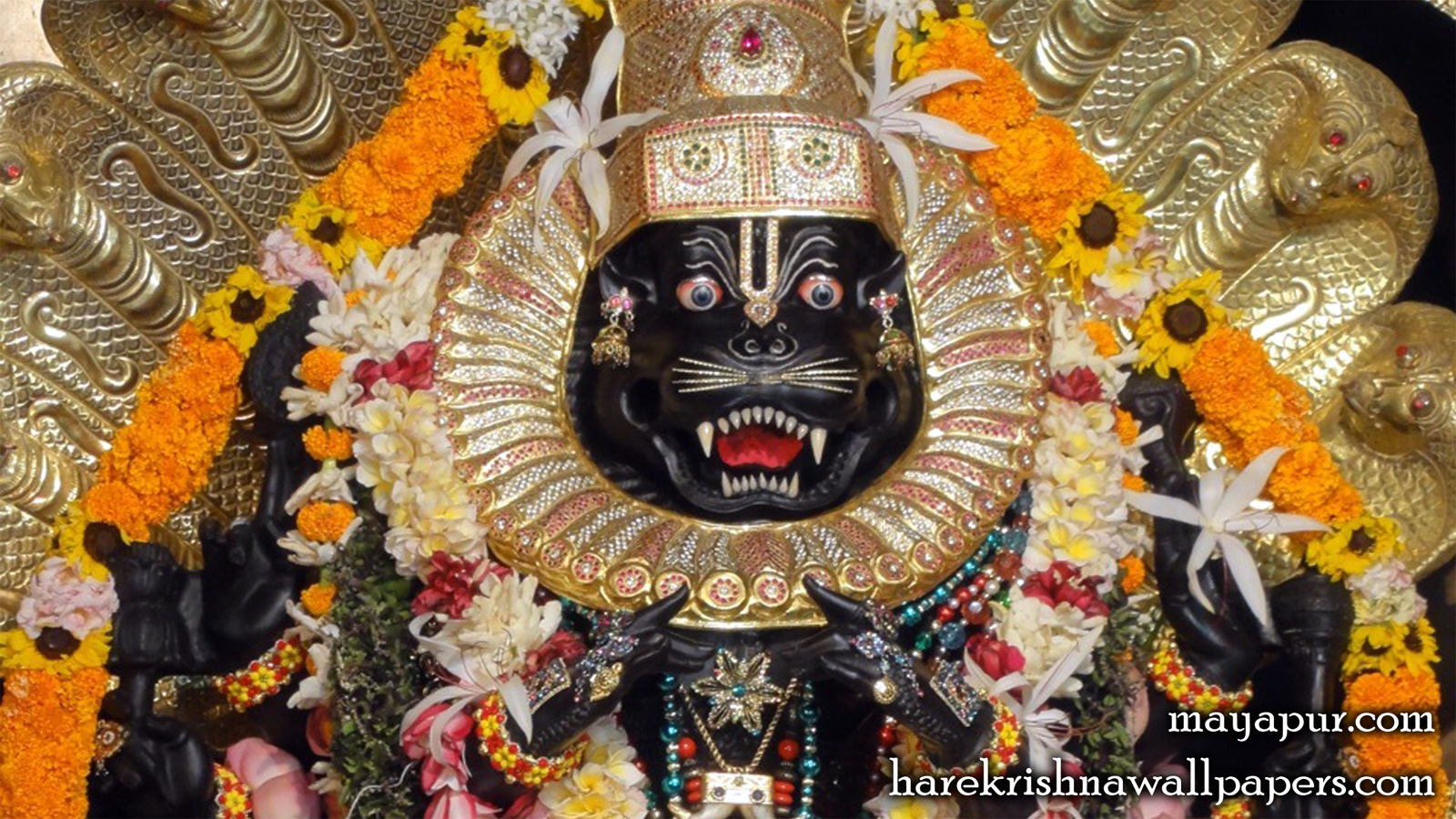 Sri Narasimha Deva Close up Wallpaper (005) Size 1600x900 Download