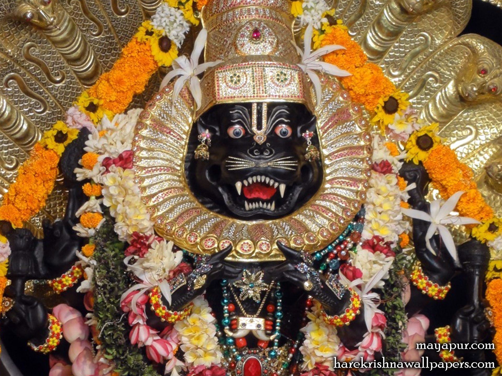 Sri Narasimha Deva Close up Wallpaper (005) Size 1920x1440 Download