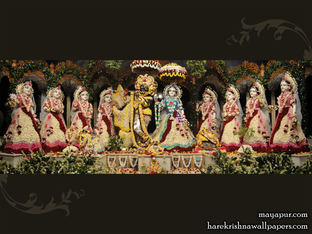 Sri Radha Madhava with Asta Sakhi Wallpaper (005) Size 1024x768 Download