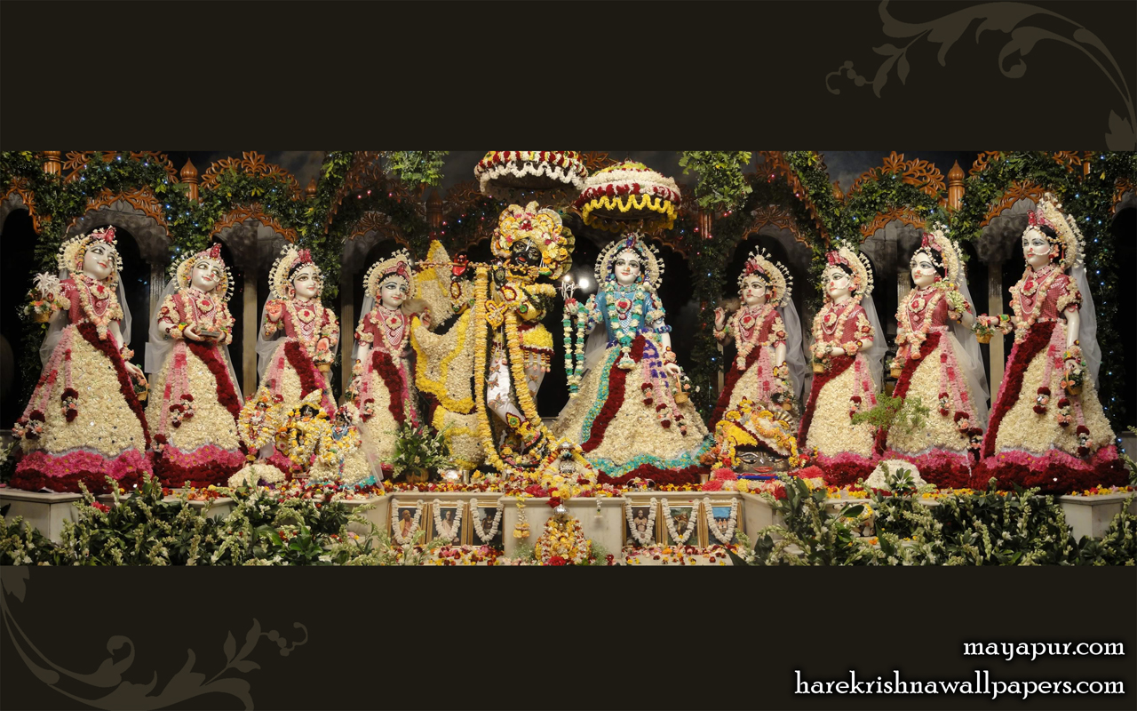 Sri Radha Madhava with Asta Sakhi Wallpaper (005) Size 1280x800 Download