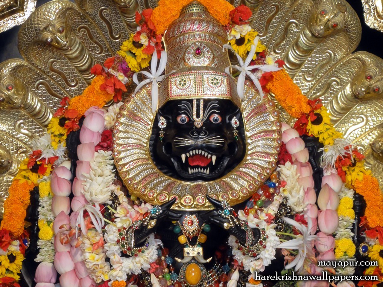 Sri Narasimha Deva Close up Wallpaper (006) Size 1280x960 Download