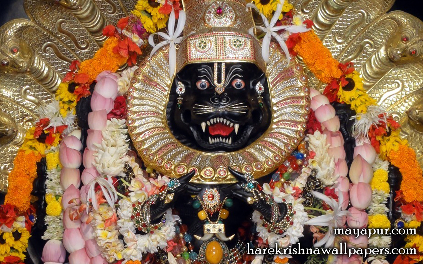 Sri Narasimha Deva Close up Wallpaper (006) Size 1440x900 Download