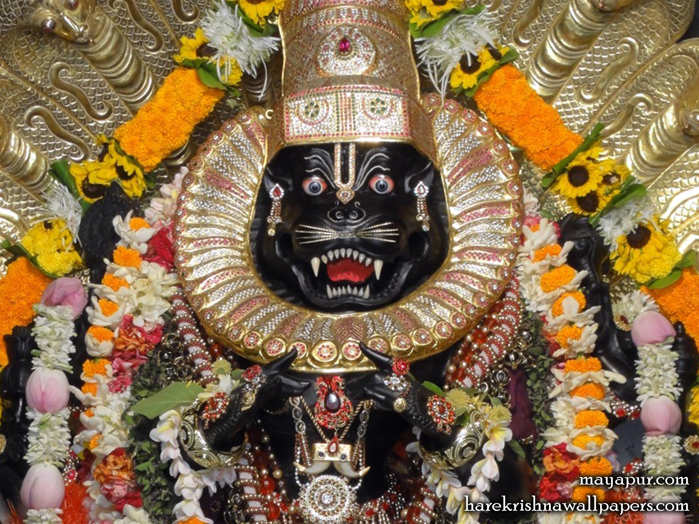 Sri Narasimha Deva Close up Wallpaper (007) Size 2400x1800 Download