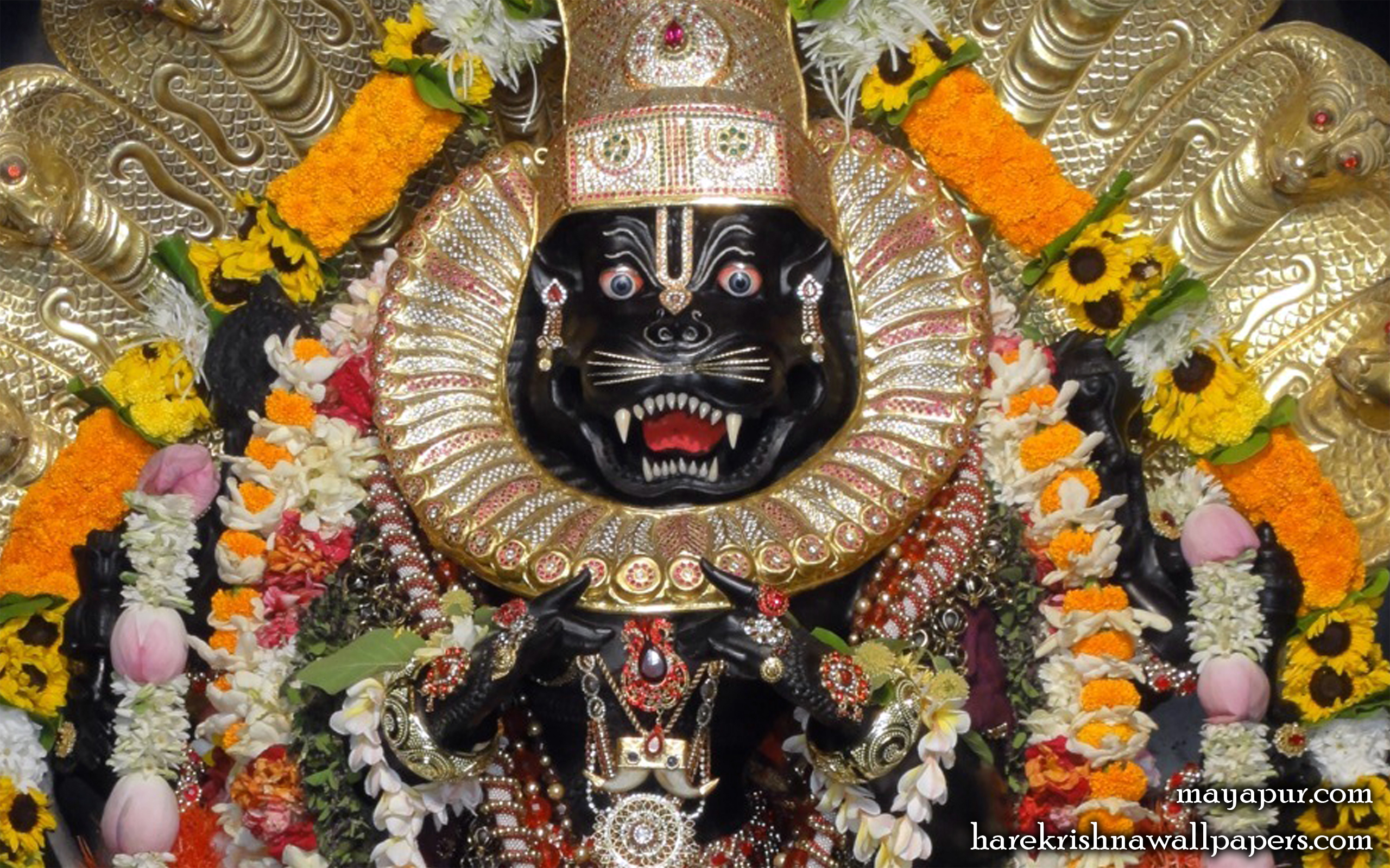 Sri Narasimha Deva Close up Wallpaper (007) Size 2560x1600 Download