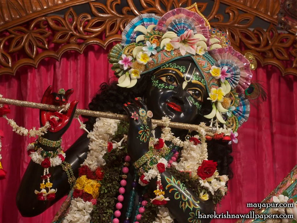 Sri Madhava Close up Wallpaper (008) Size 1024x768 Download