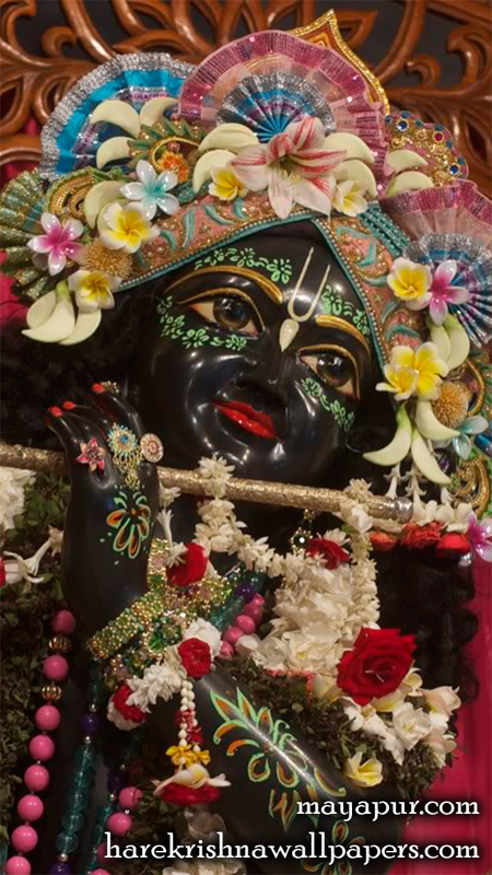 Sri Madhava Close up Wallpaper (008) Size 450x800 Download