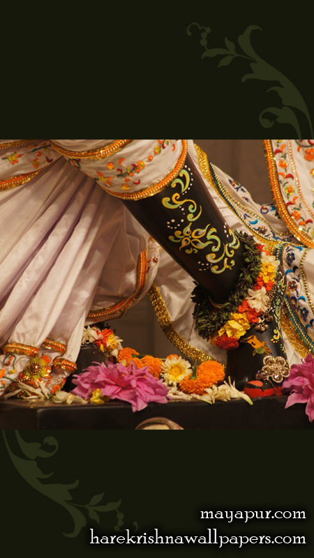 Sri Madhava Feet Wallpaper (008) Size 450x800 Download