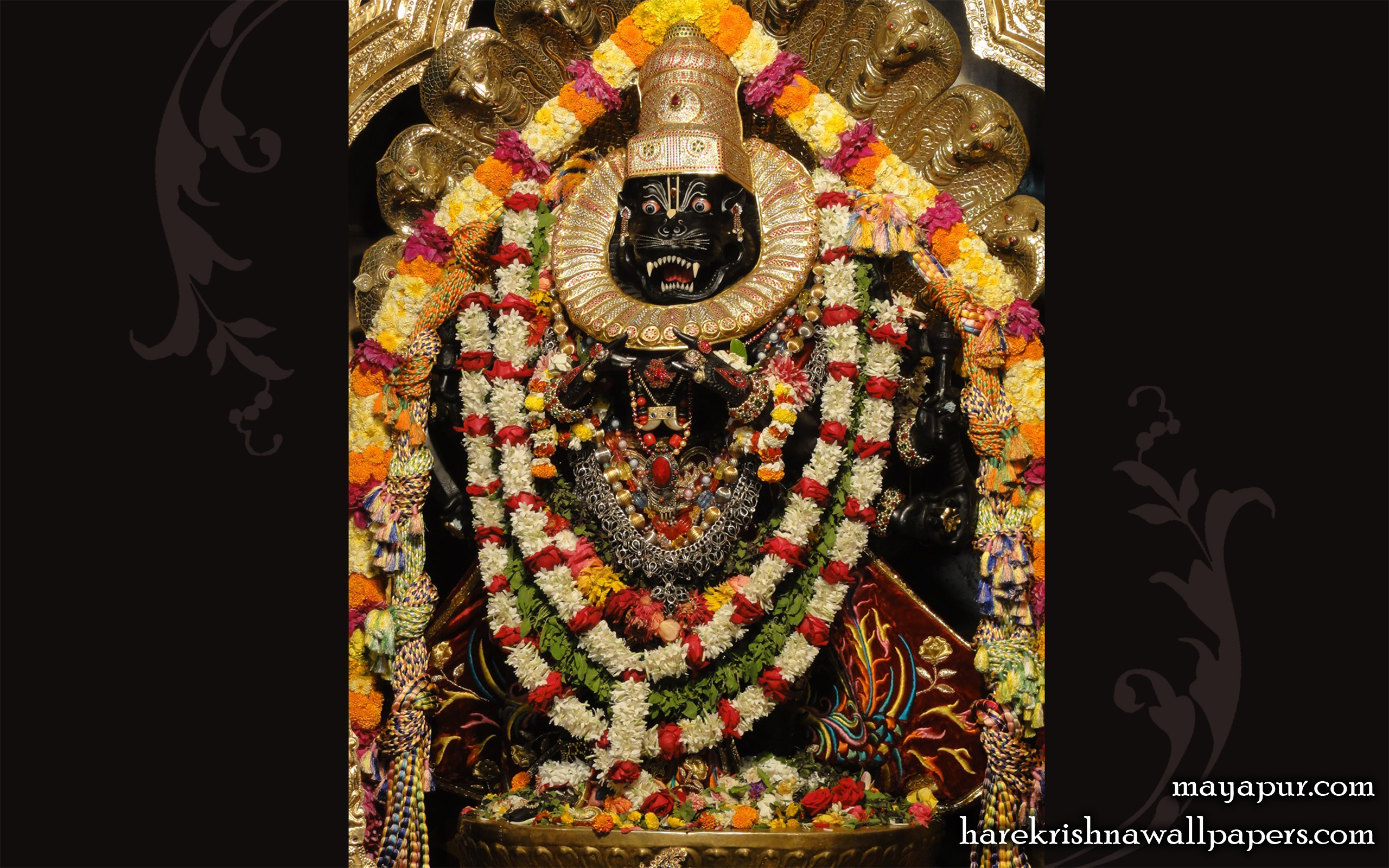 Sri Narasimha Deva Wallpaper (008) Size 2560x1600 Download