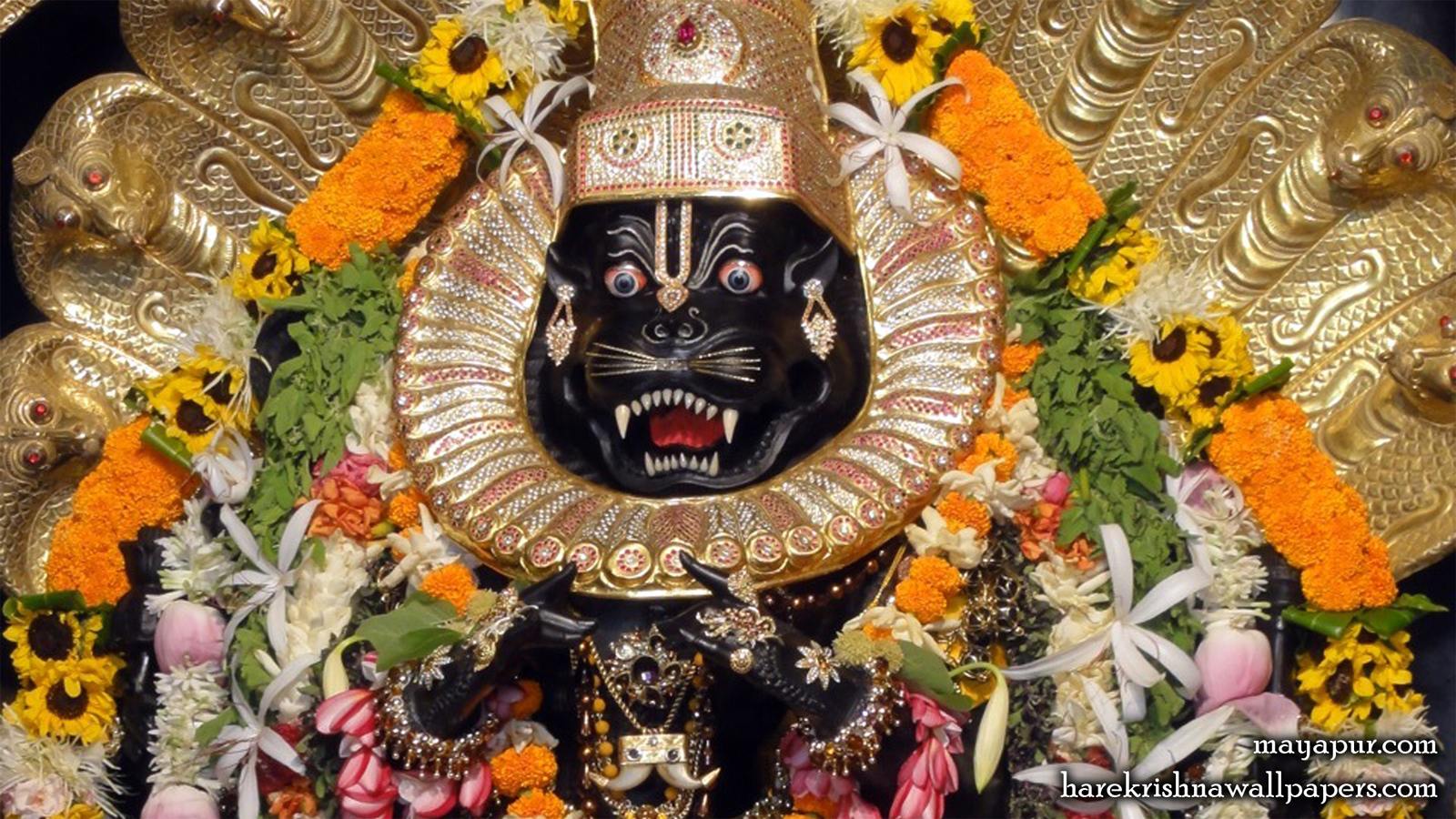 Sri Narasimha Deva Close up Wallpaper (008) Size 1600x900 Download