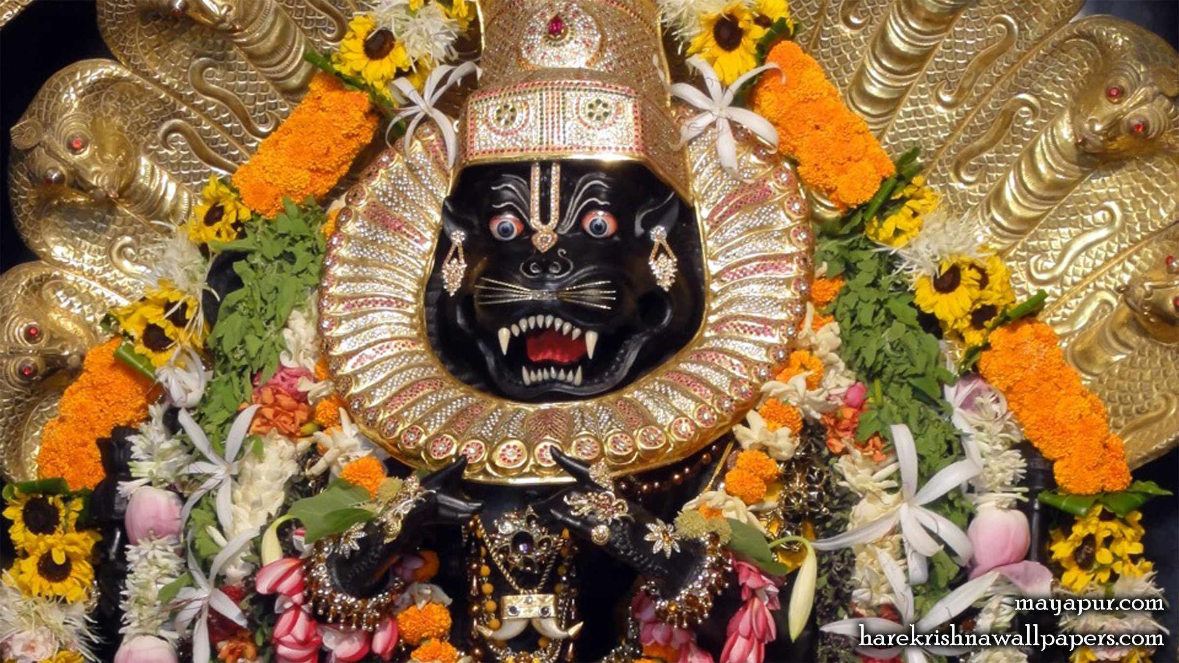 Sri Narasimha Deva Close up Wallpaper (008) Size 2400x1350 Download