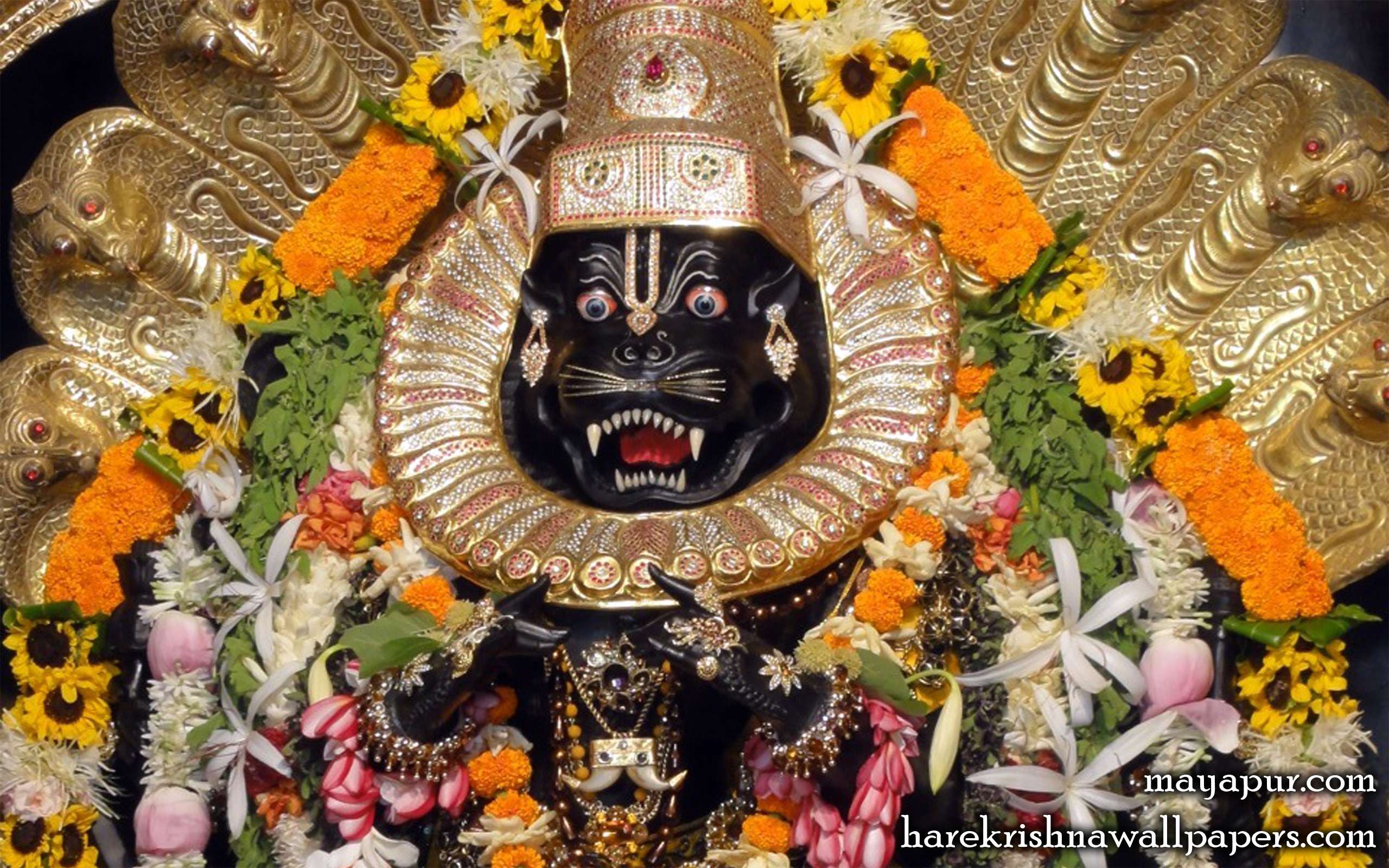 Sri Narasimha Deva Close up Wallpaper (008) Size 2560x1600 Download