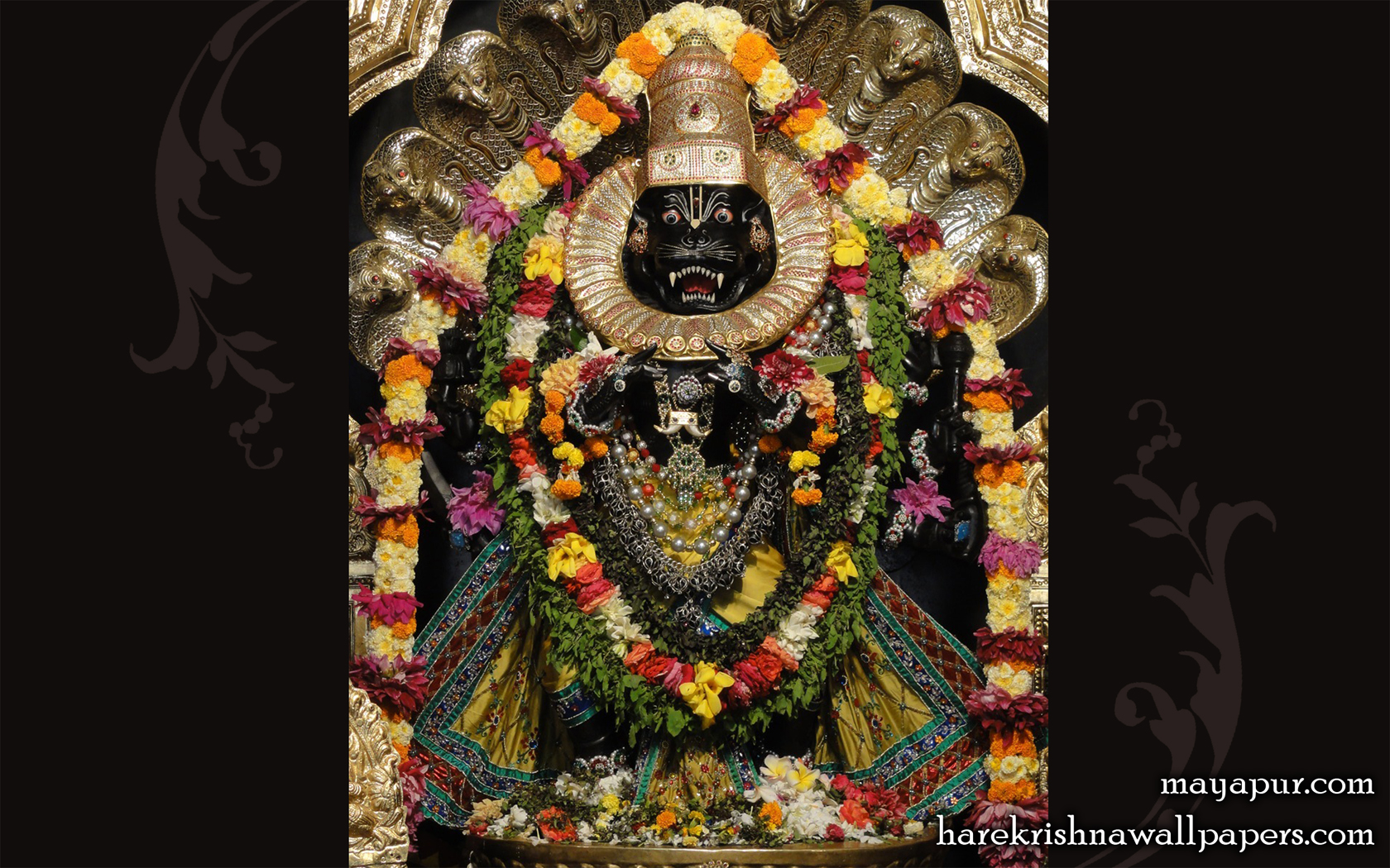 Sri Narasimha Deva Wallpaper (010) Size 1680x1050 Download