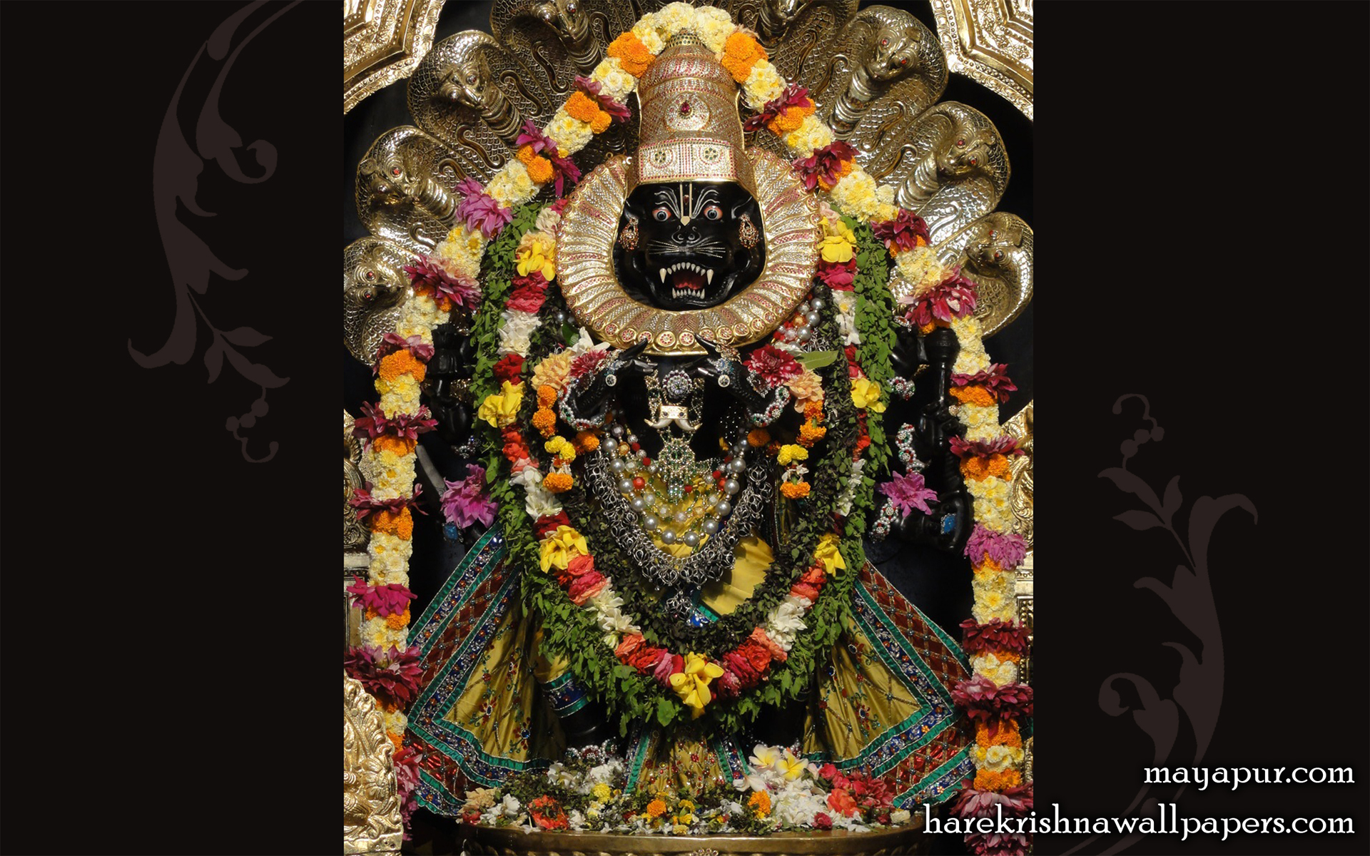 Sri Narasimha Deva Wallpaper (010) Size 1920x1200 Download