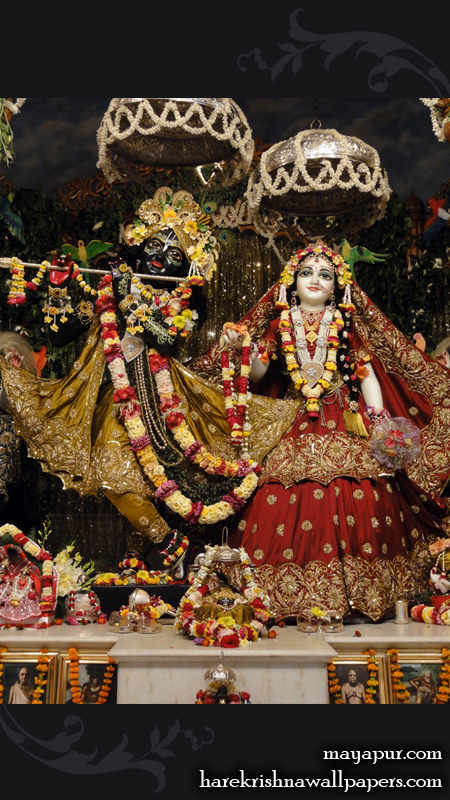 Sri Radha Madhava Wallpaper (014) Size 450x800 Download
