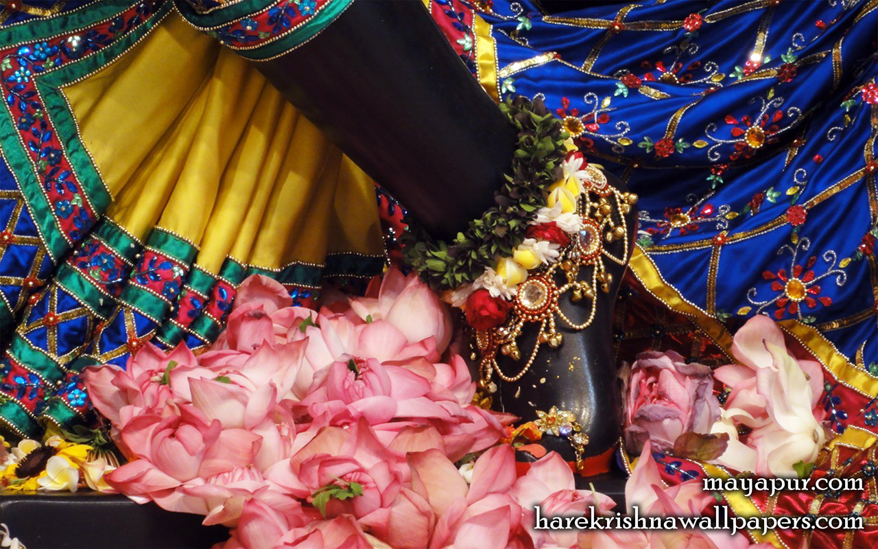 Sri Madhava Feet Wallpaper (019) Size 1280x800 Download