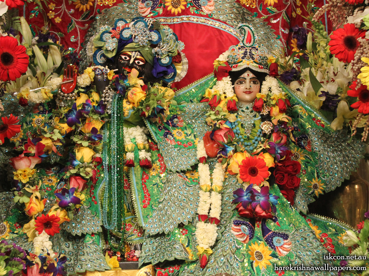 Sri Sri Radha Vallabh Wallpaper (003) Size 1200x900 Download
