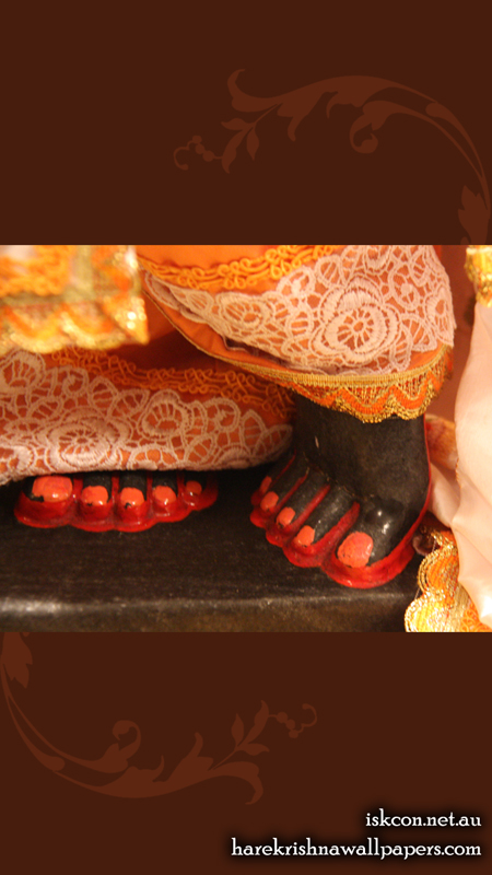 Sri Vallabh Feet Wallpaper (004) Size 450x800 Download