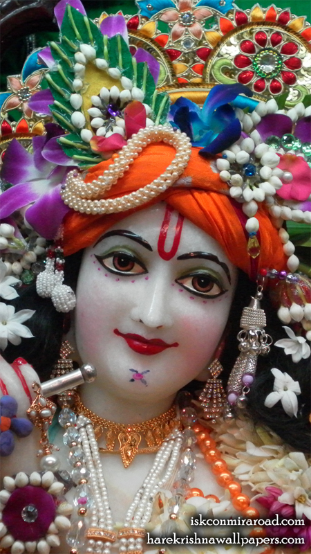 Sri Giridhari Close up Wallpaper (005) Size 450x800 Download