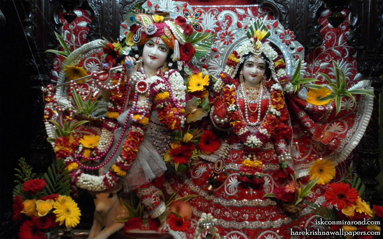 Sri Sri Radha Giridhari Wallpaper (006) Size 1280x800 Download