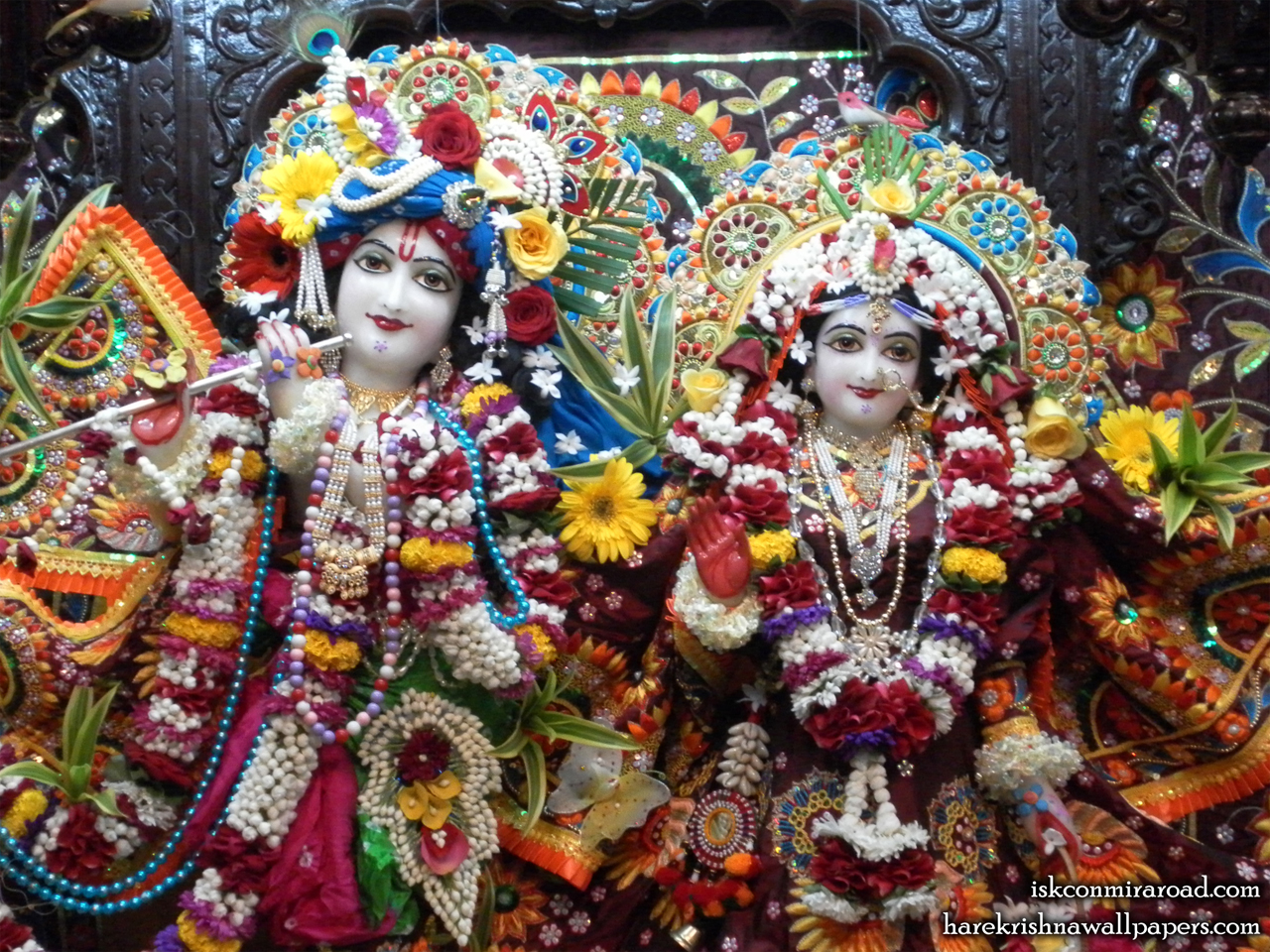 Sri Sri Radha Giridhari Close up Wallpaper (006) Size 1280x960 Download