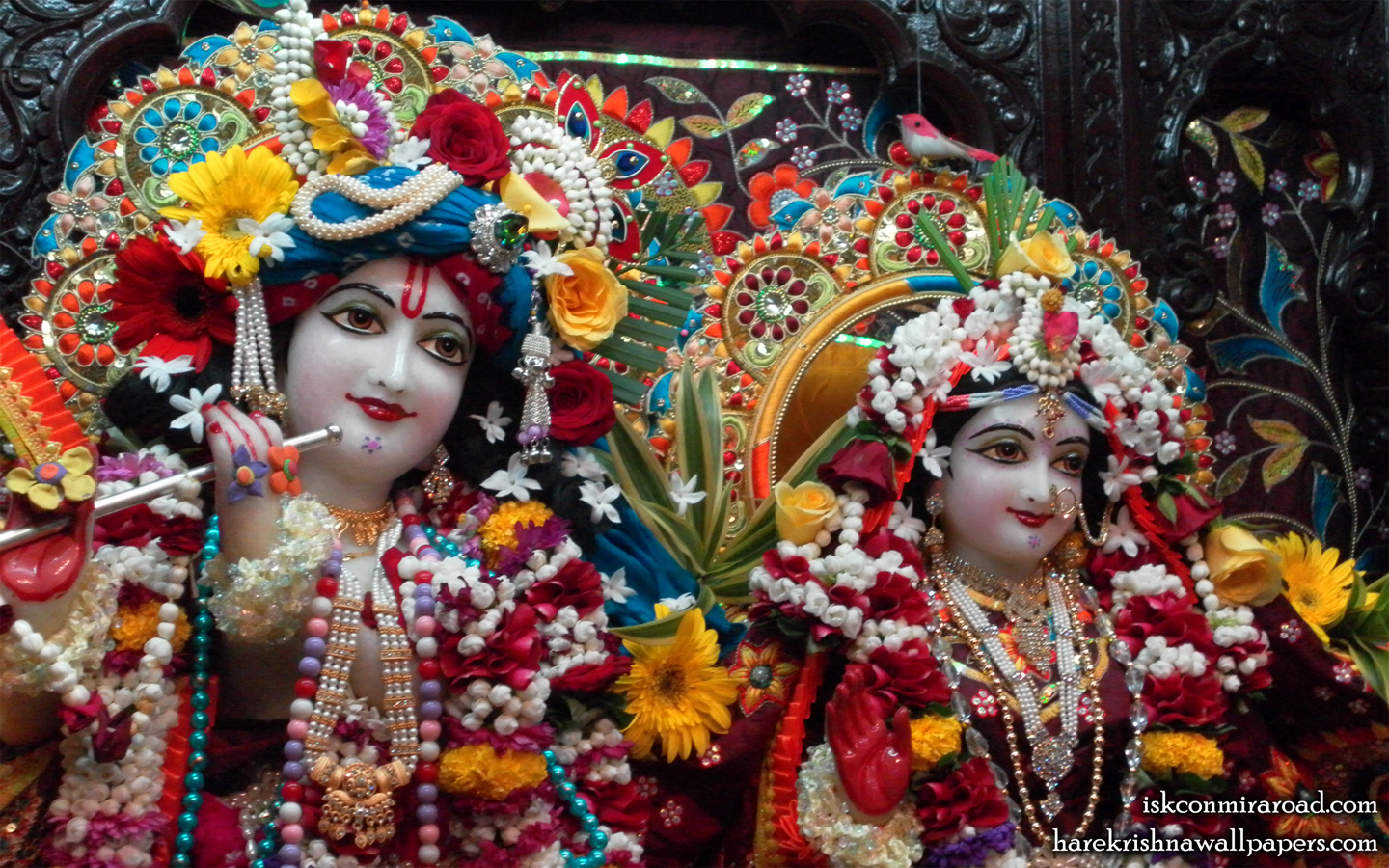 Sri Sri Radha Giridhari Close up Wallpaper (007) Size 1440x900 Download