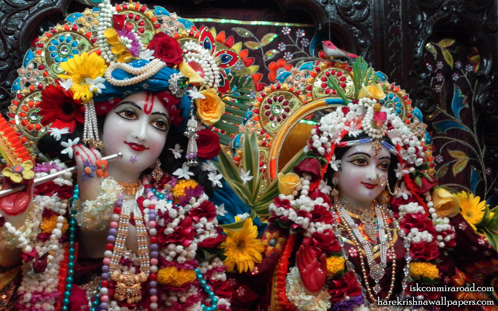 Sri Sri Radha Giridhari Close up Wallpaper (007) Size 1680x1050 Download