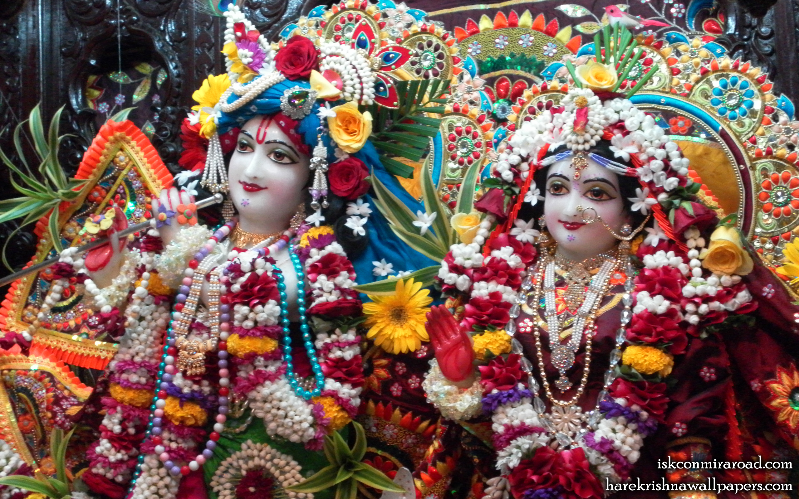 Sri Sri Radha Giridhari Close up Wallpaper (008) Size 2560x1600 Download