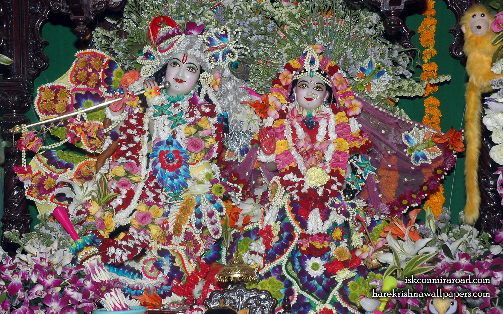Sri Sri Radha Giridhari Wallpaper (012) Size 1680x1050 Download
