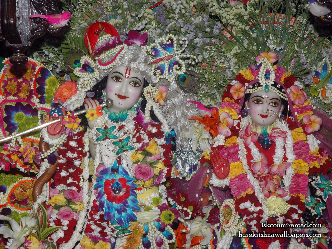 Sri Sri Radha Giridhari Close up Wallpaper (026) Size 1400x1050 Download