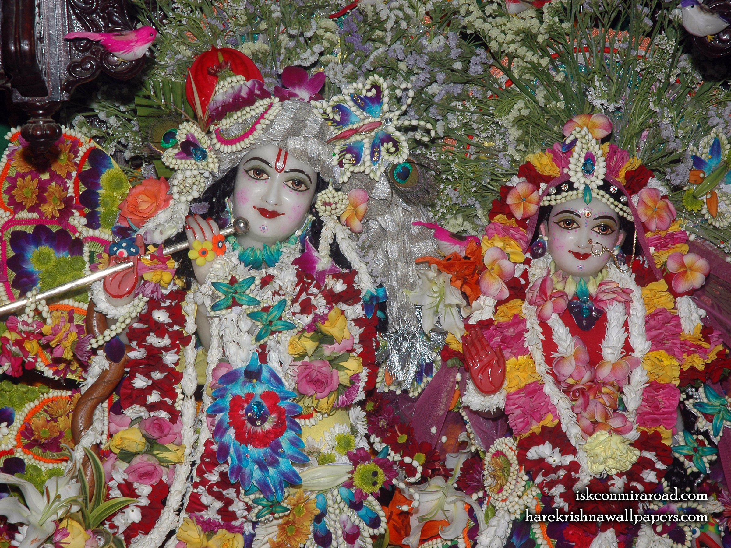 Sri Sri Radha Giridhari Close up Wallpaper (026) Size 2400x1800 Download