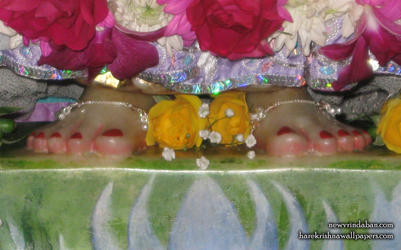 Sri Radha Feet Wallpaper (001) Size 1280x800 Download