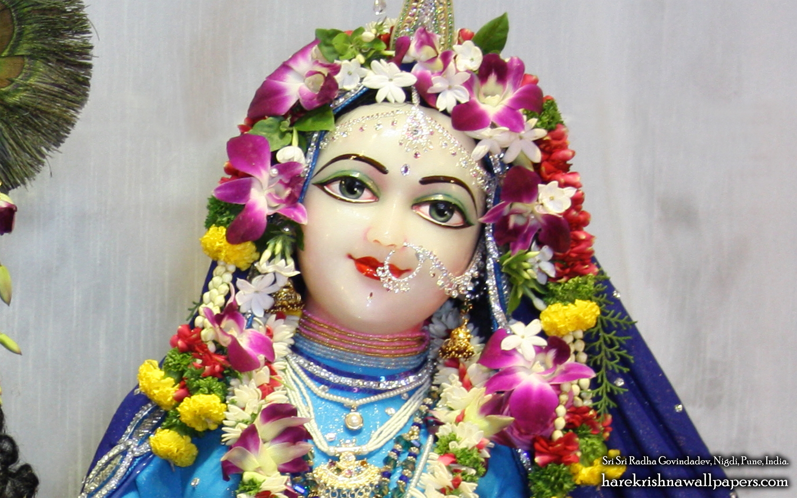 Sri Radha Close up Wallpaper (007) Size 2560x1600 Download