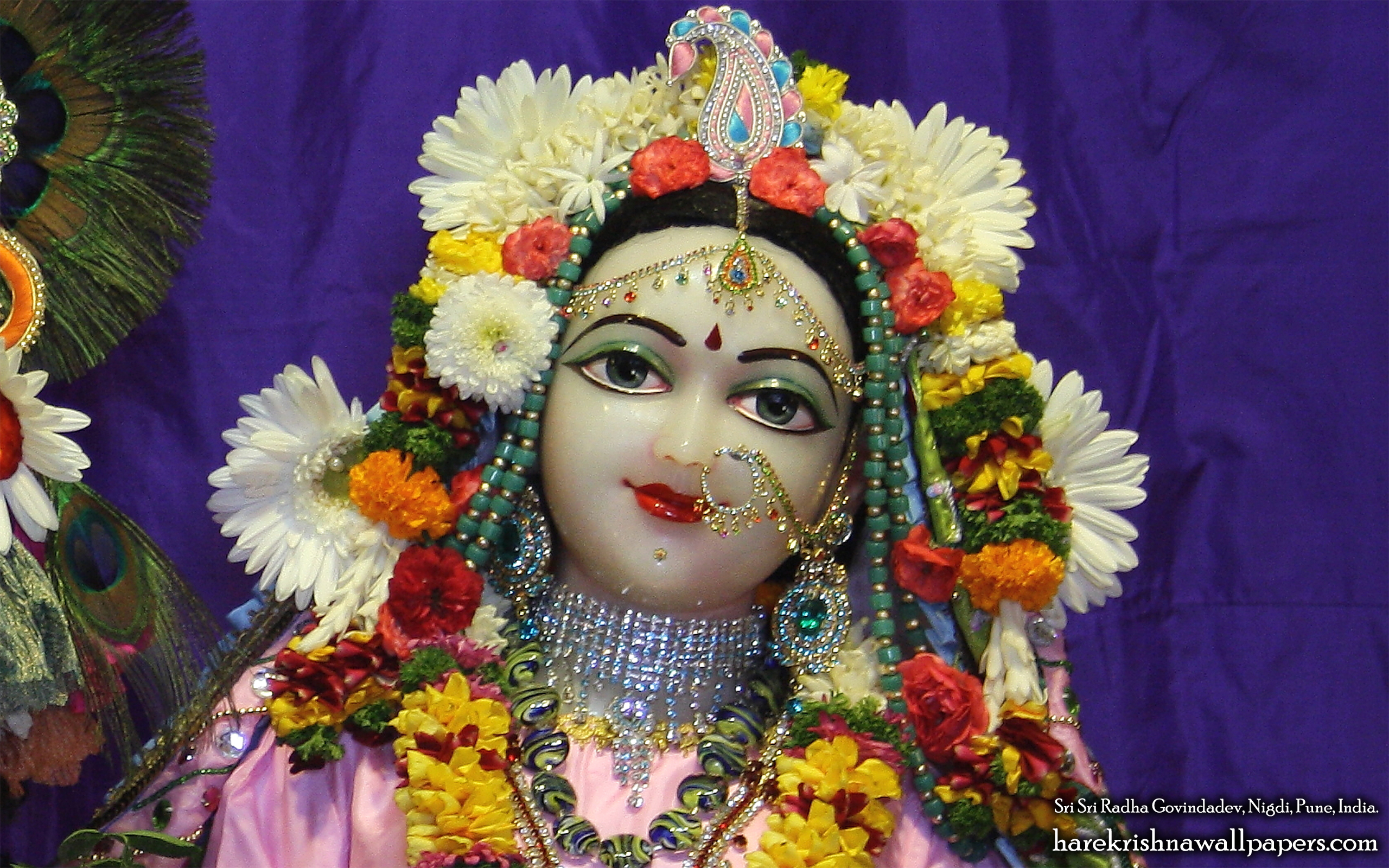 Sri Radha Close up Wallpaper (012) Size 2560x1600 Download