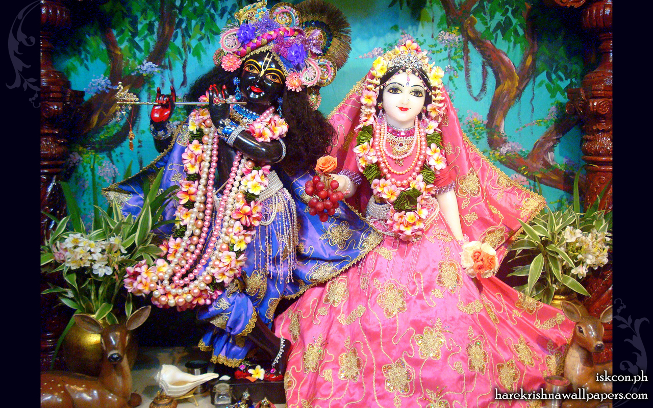 Sri Sri Radha Madhava Wallpaper (005) Size 1280x800 Download
