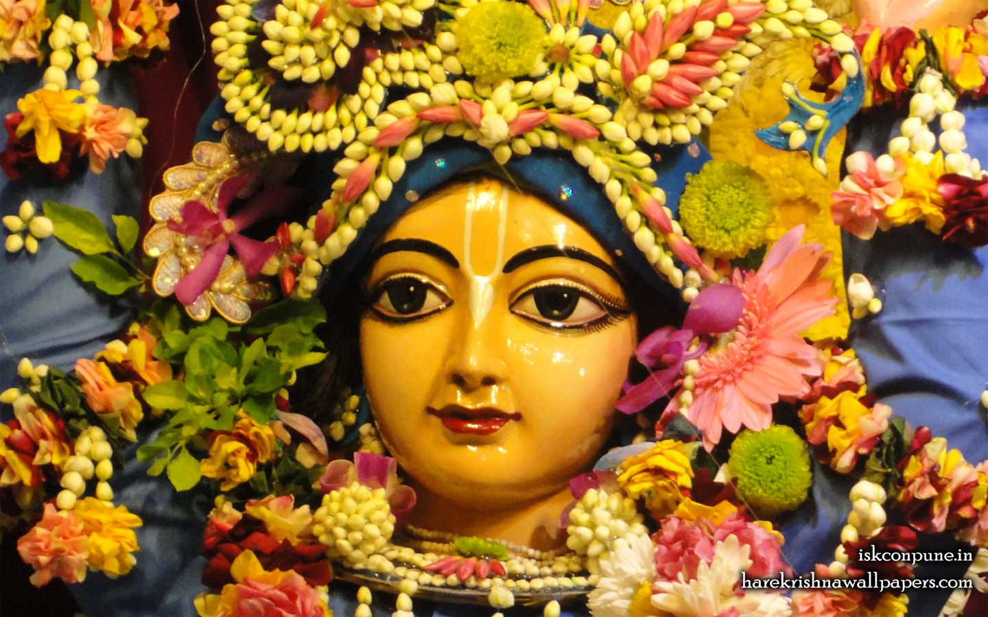 Sri Nitai Close up Wallpaper (001) Size 1440x900 Download