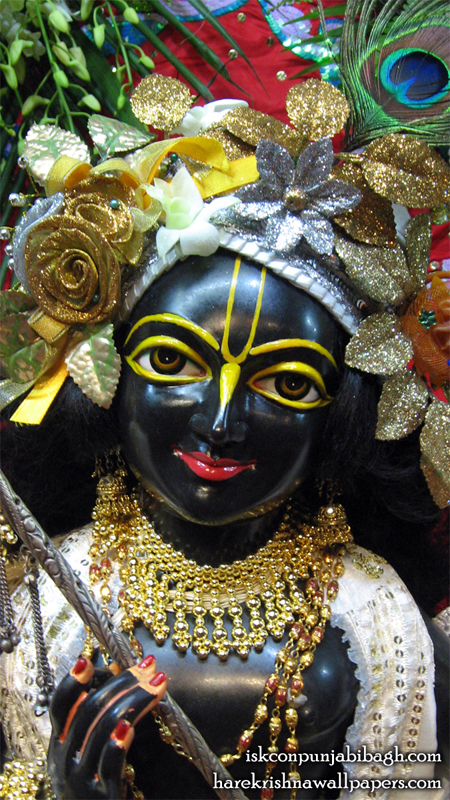 Sri Krishna Close up Wallpaper (001) Size 450x800 Download
