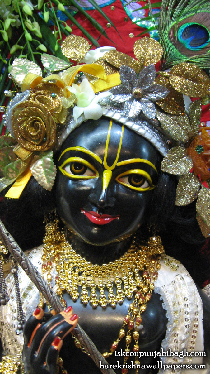 Sri Krishna Close up Wallpaper (001) Size 675x1200 Download
