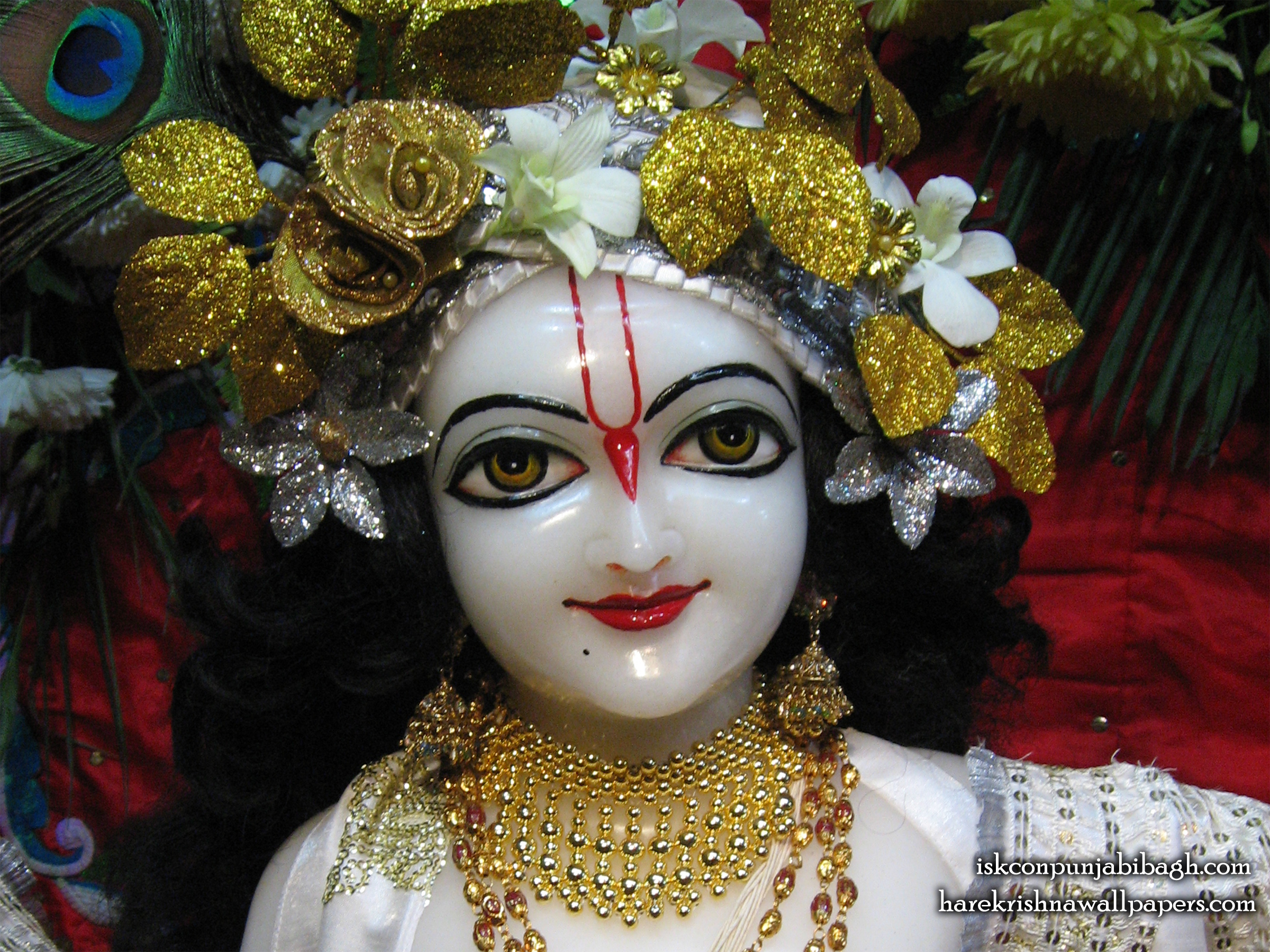 Sri Balaram Close up Wallpaper (002) Size 2400x1800 Download