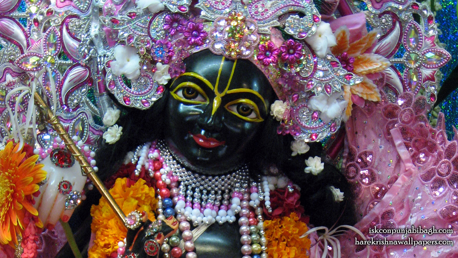 Sri Krishna Close up Wallpaper (002) Size 1600x900 Download