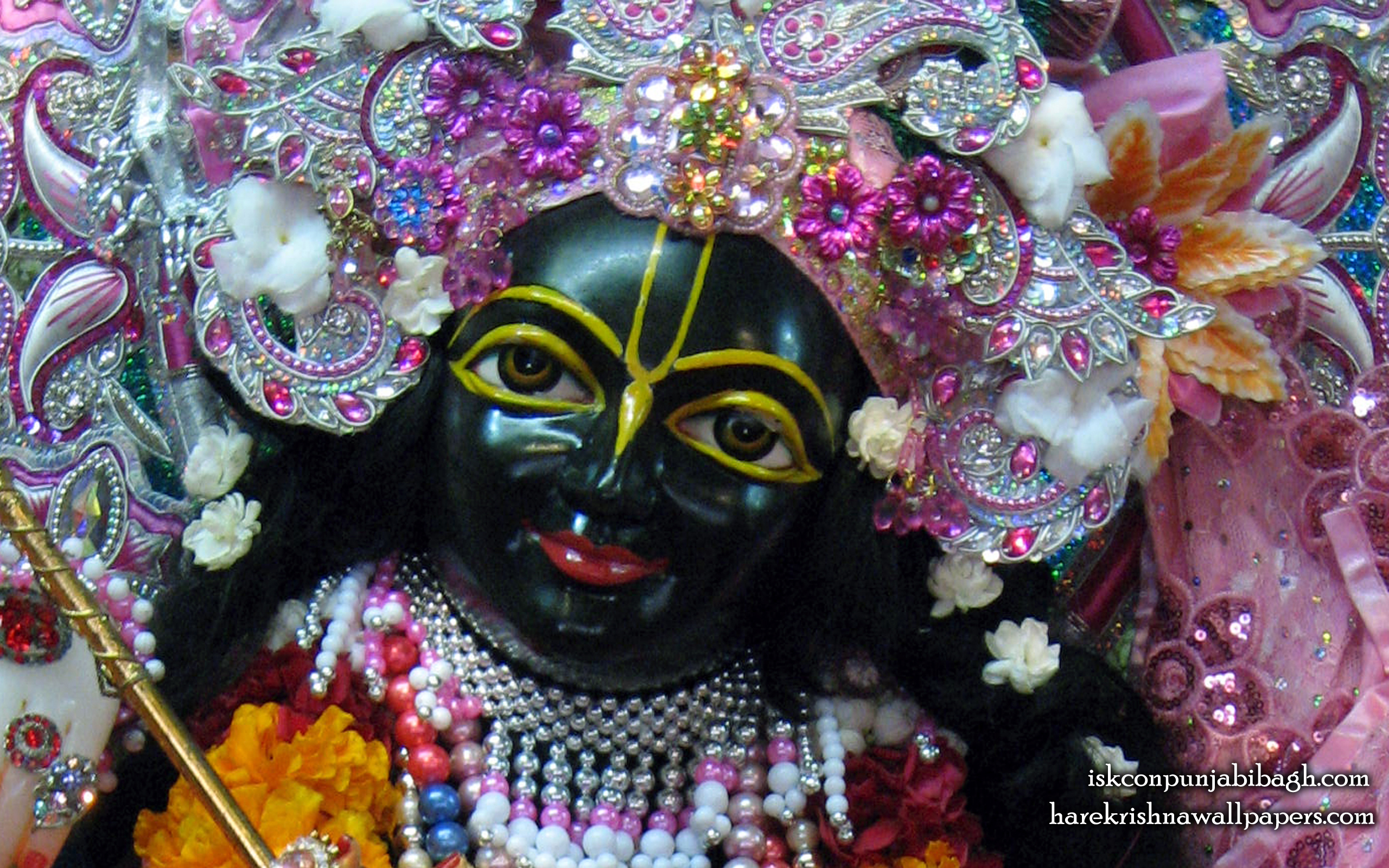 Sri Krishna Close up Wallpaper (002) Size 2560x1600 Download
